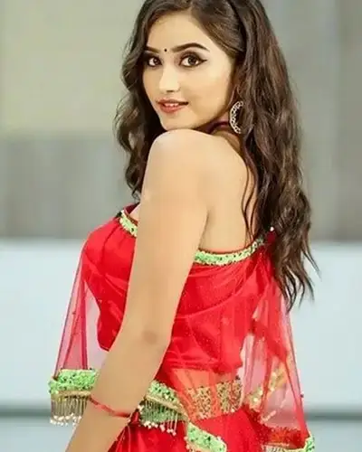 Call Girls Service Bahadurpura